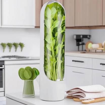 boite alimentaire - fines herbes