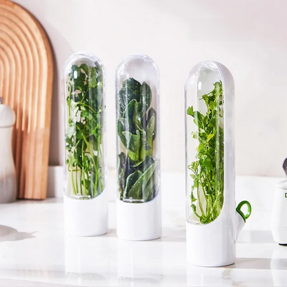 boite alimentaire - fines herbes